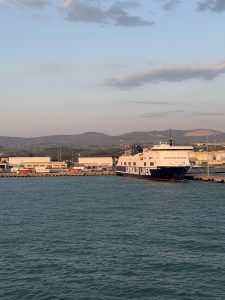 Img 0231 225x300