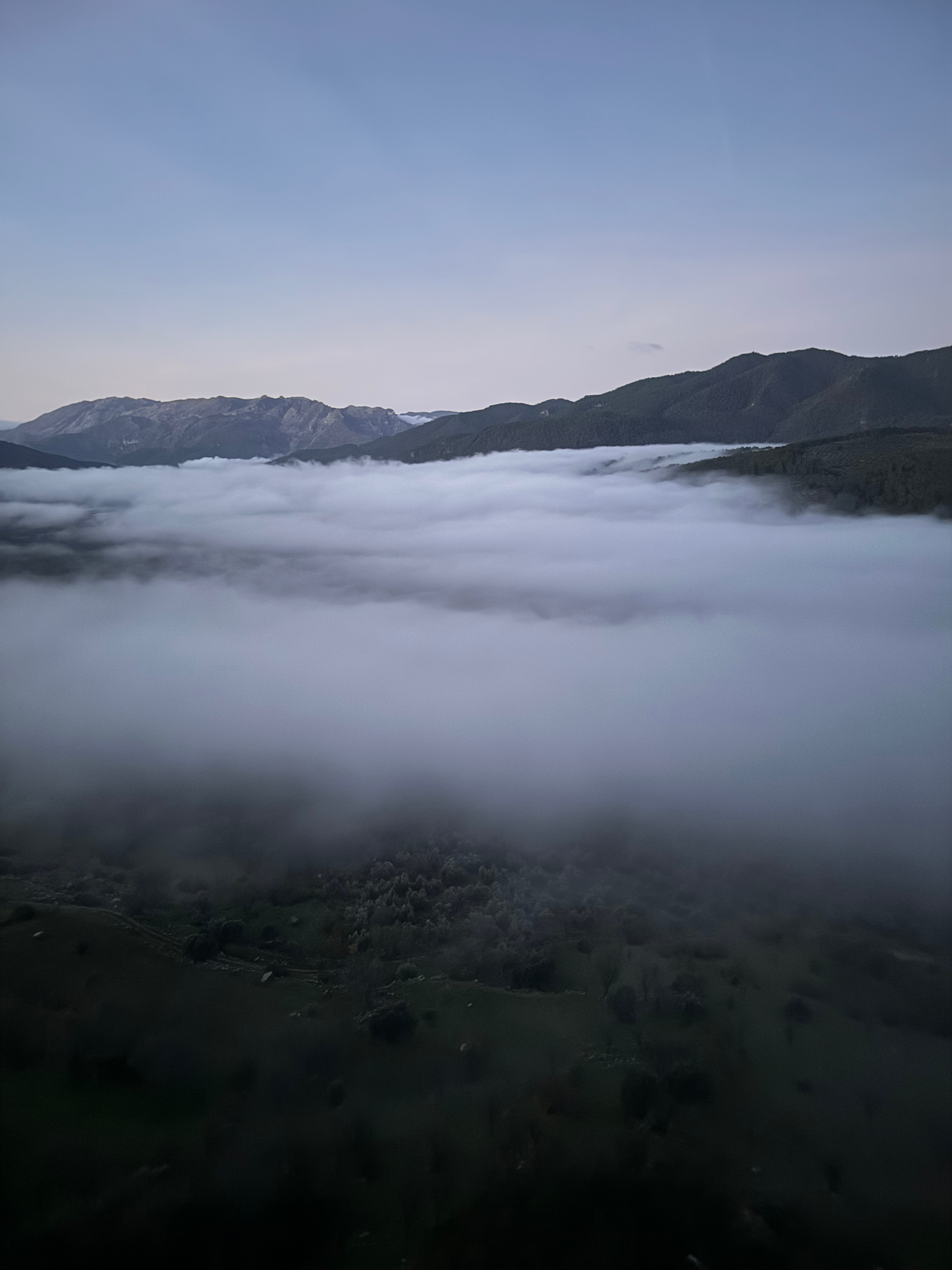 Img 7813