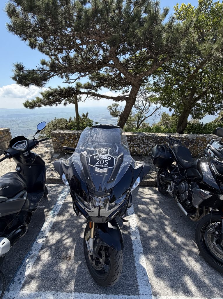 Img 0780 766x1024