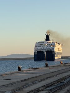 Img 0946 225x300