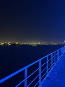 Img 0968 225x300